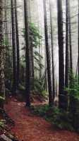 descargar wallpaper de Naturaleza